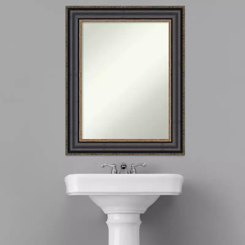 24" x 30" Non-Beveled Framed Bathroom Wall Mirror - Black Bronze Polystyrene Frame, Includes Mounting Hardware