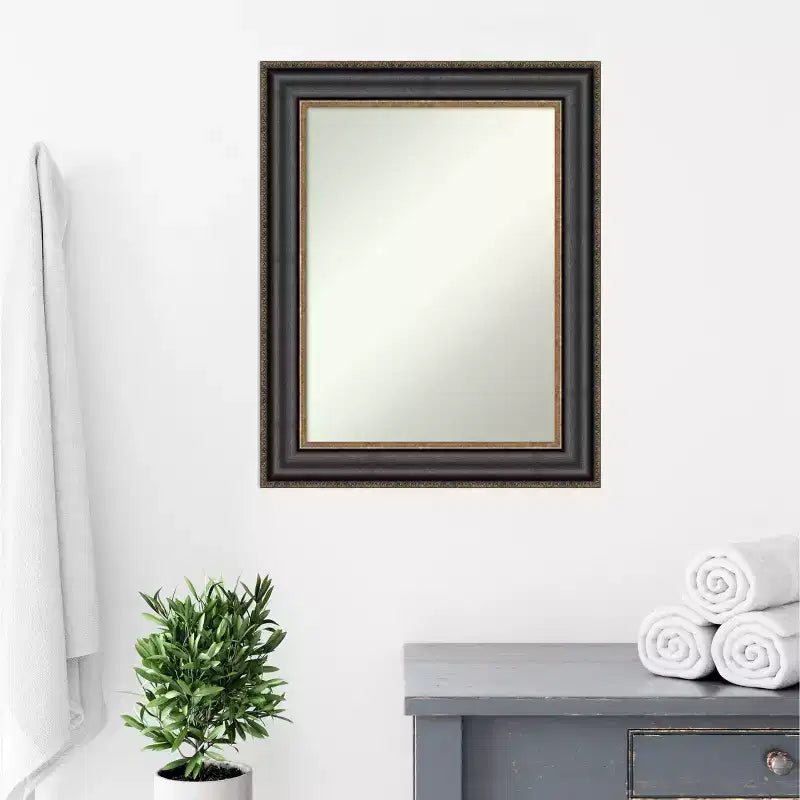 24" x 30" Non-Beveled Framed Bathroom Wall Mirror - Black Bronze Polystyrene Frame, Includes Mounting Hardware