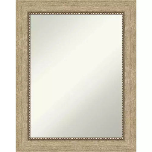 23" x 29" Non-Beveled Astor Champagne Wall Mirror - Amanti Art